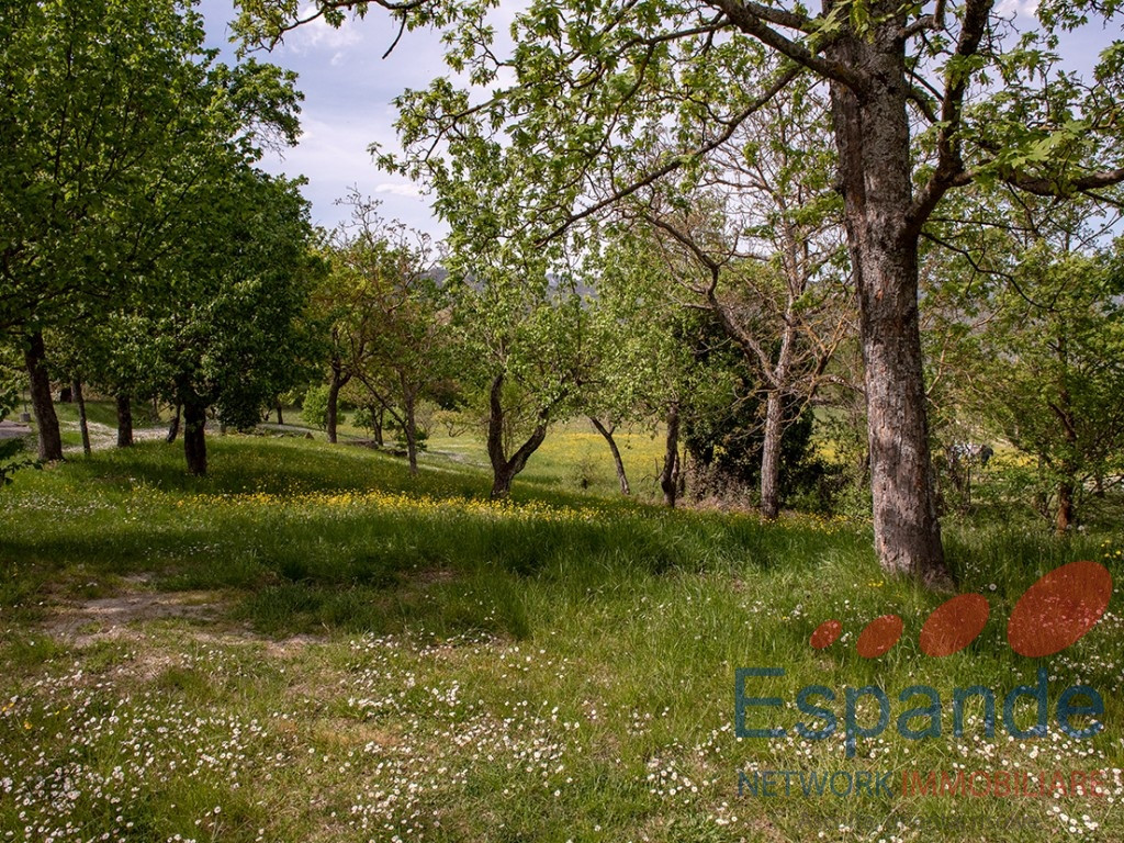 gallery gallery-image