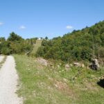 gallery gallery-image