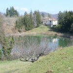 gallery gallery-image