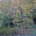gallery gallery-image