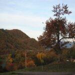 gallery gallery-image