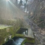 gallery gallery-image