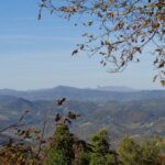 gallery gallery-image