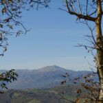 gallery gallery-image