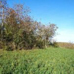gallery gallery-image