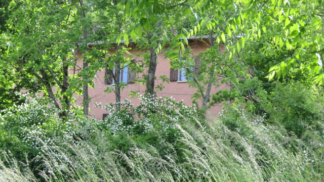 gallery gallery-image
