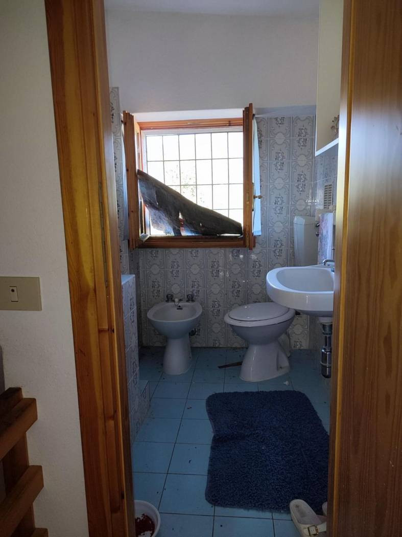 gallery gallery-image