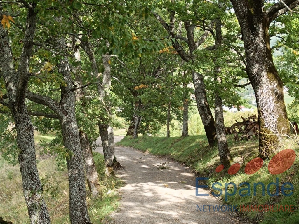 gallery gallery-image
