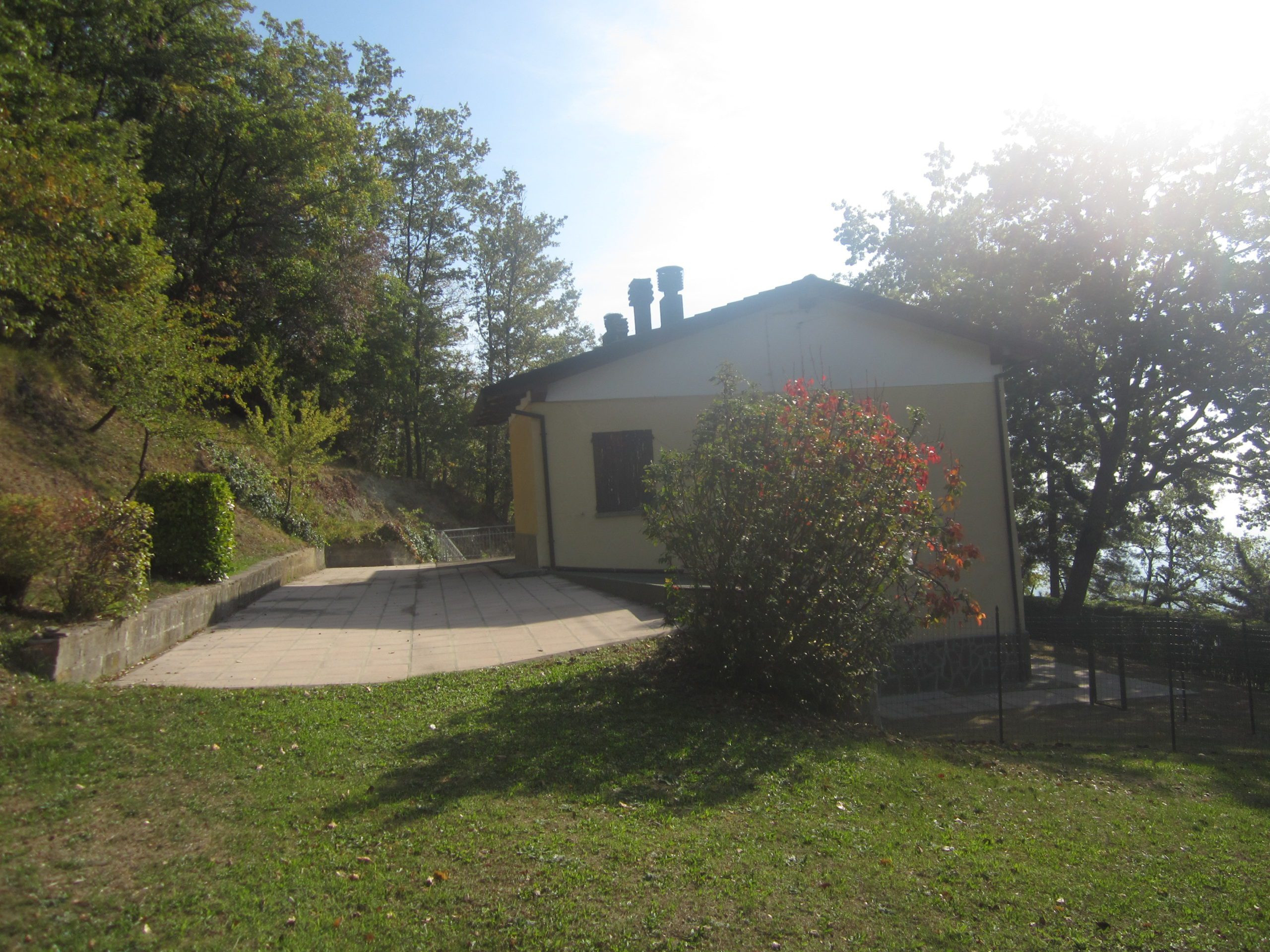 gallery-image