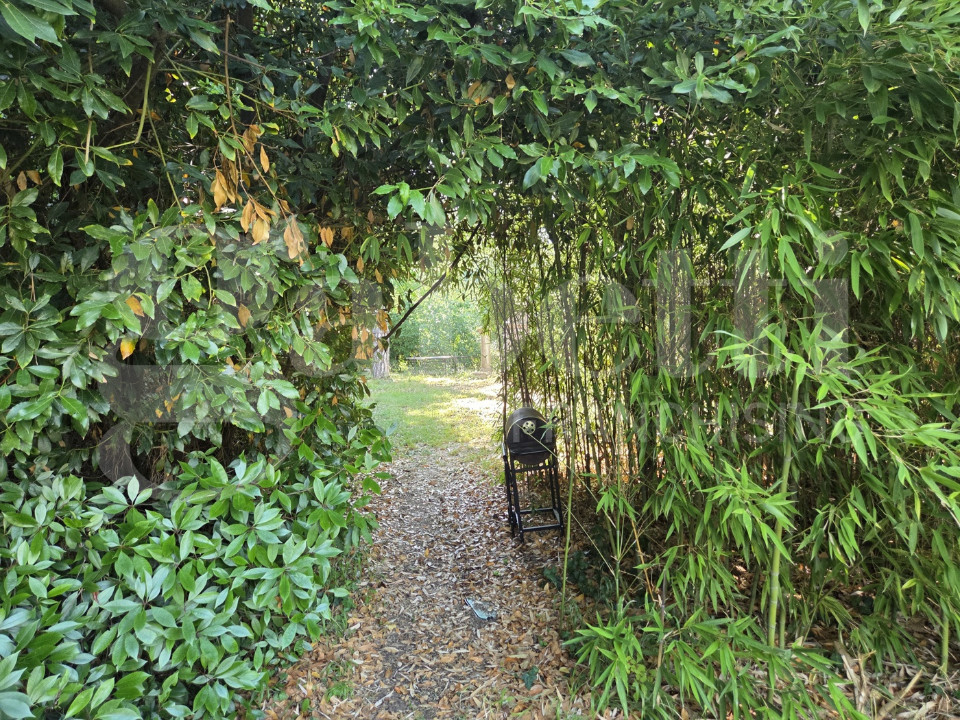 gallery gallery-image