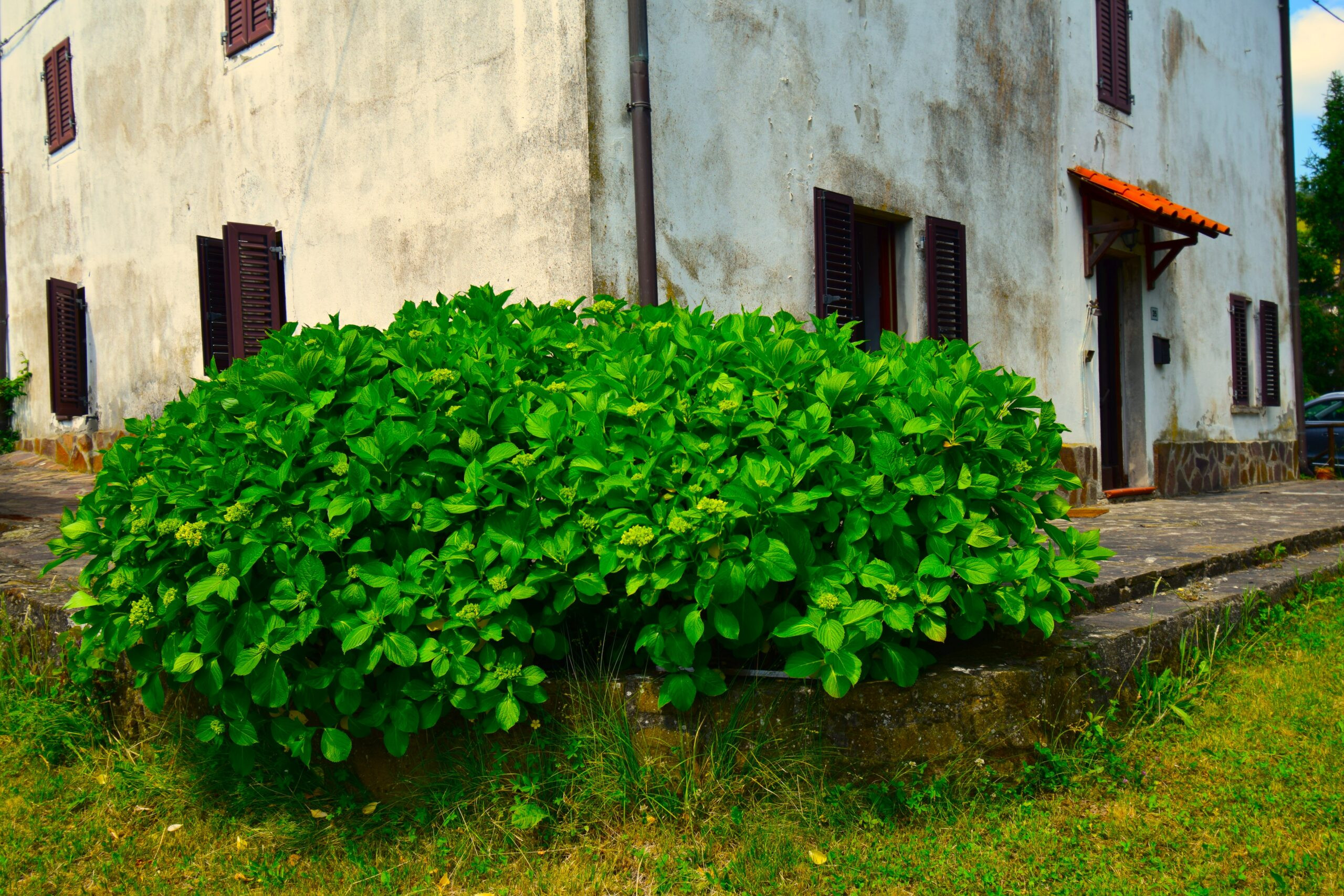 gallery gallery-image