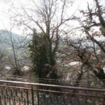 gallery gallery-image