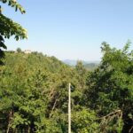 gallery gallery-image