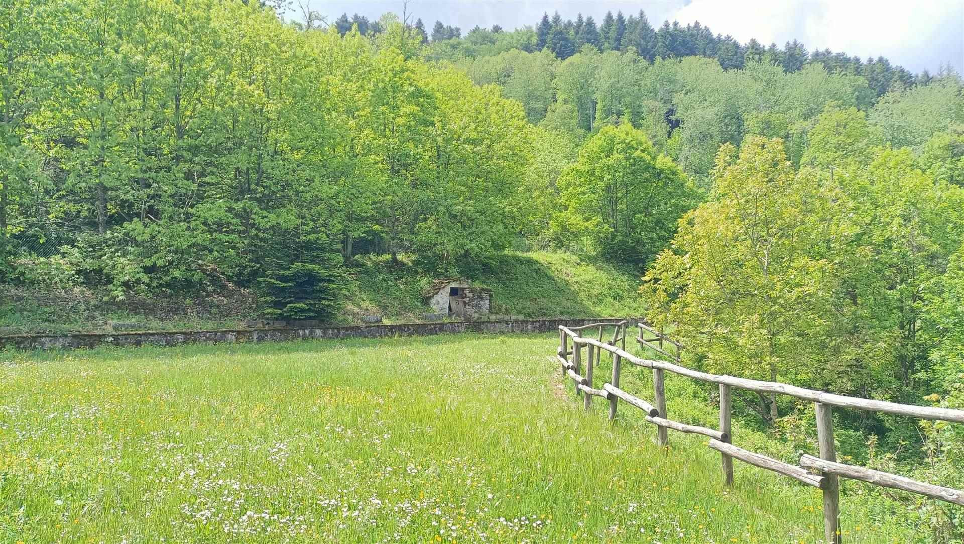 gallery gallery-image