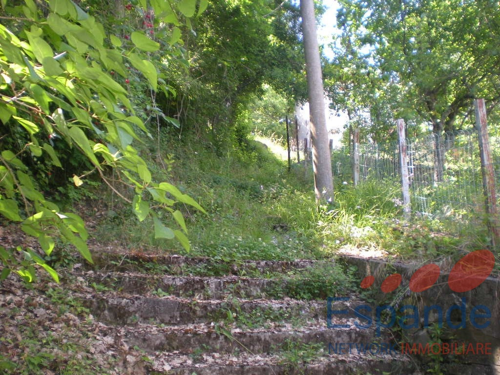 gallery gallery-image