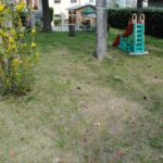 gallery gallery-image