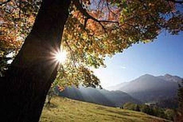 gallery gallery-image