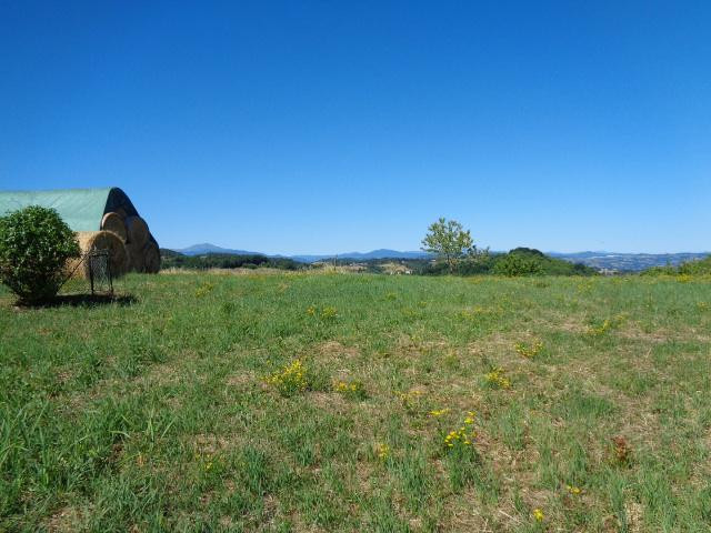 gallery gallery-image