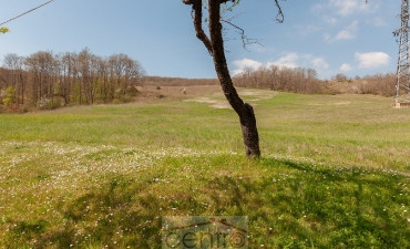 gallery gallery-image