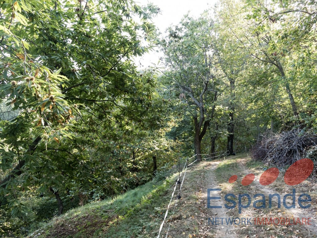 gallery gallery-image