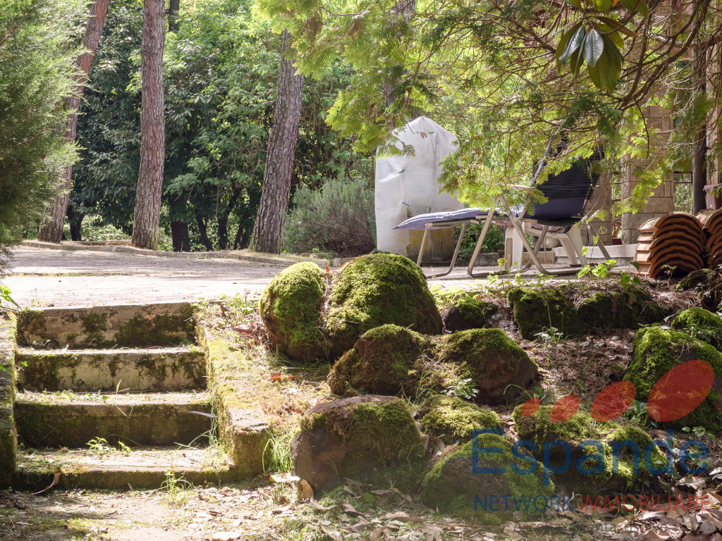 gallery gallery-image