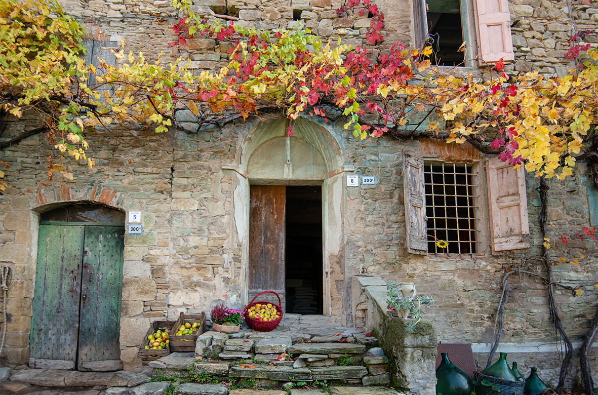 gallery gallery-image