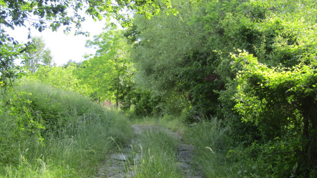 gallery gallery-image