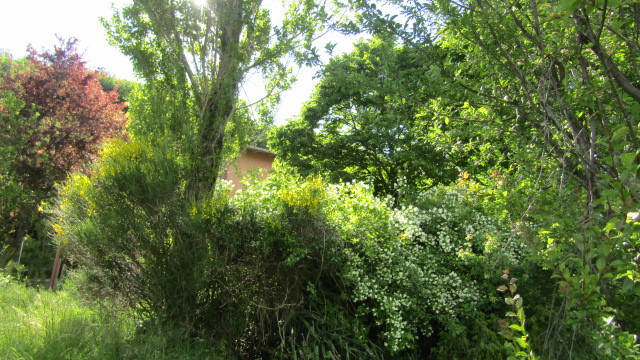 gallery gallery-image