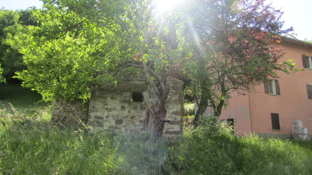 gallery gallery-image