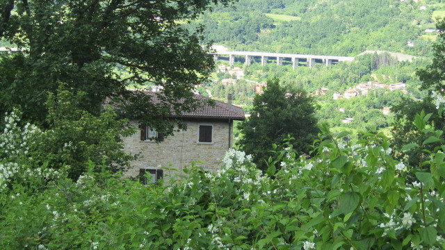 gallery gallery-image