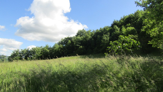 gallery gallery-image