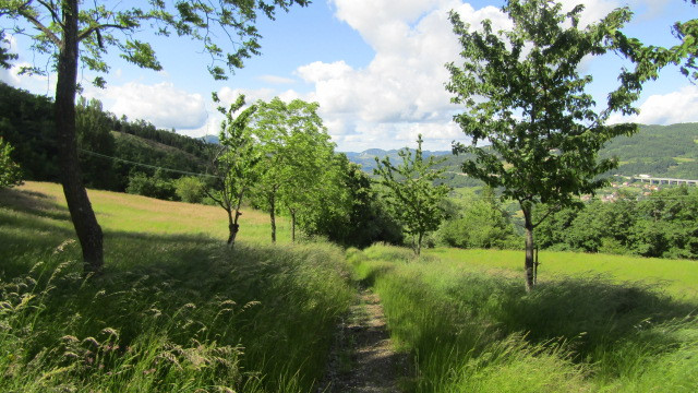 gallery gallery-image