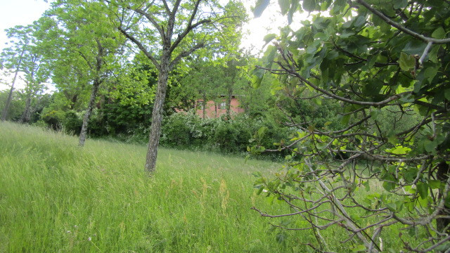 gallery gallery-image