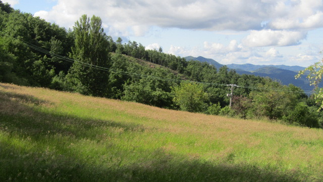 gallery gallery-image
