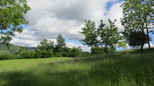 gallery gallery-image