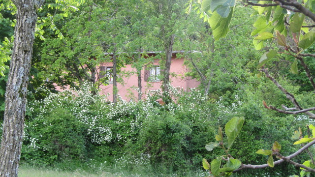 gallery gallery-image