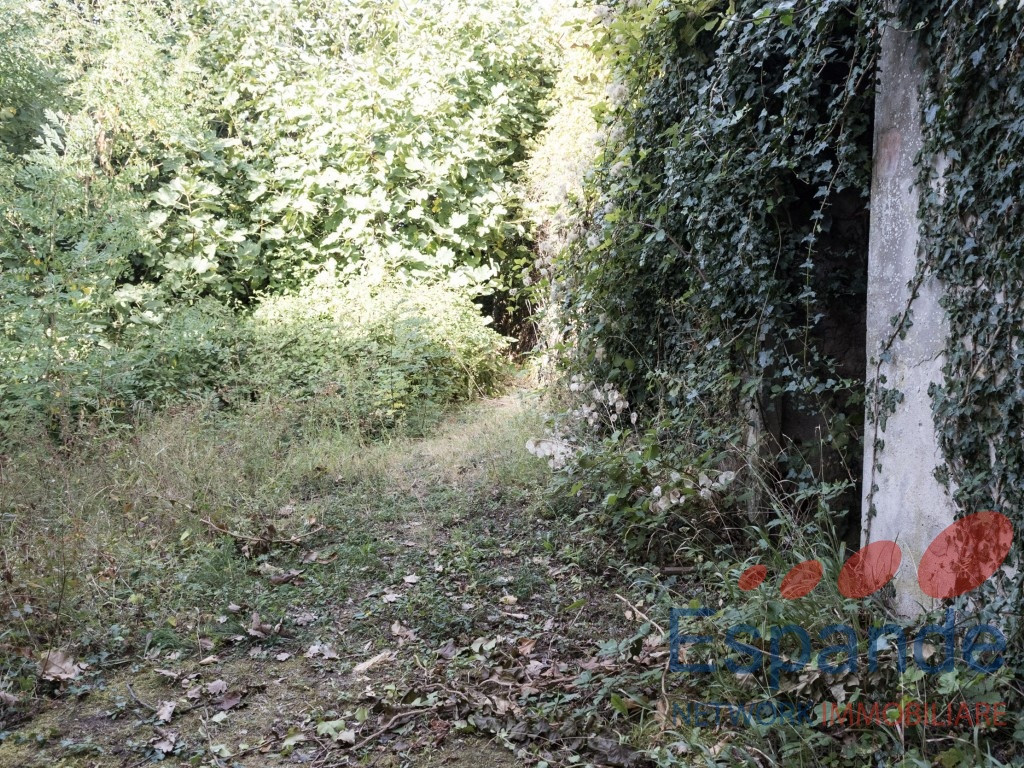 gallery gallery-image