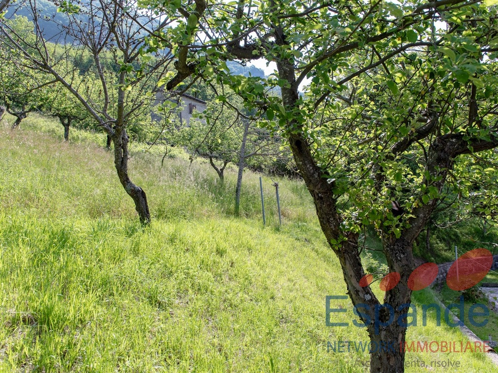 gallery gallery-image
