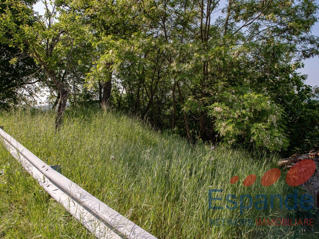 gallery gallery-image