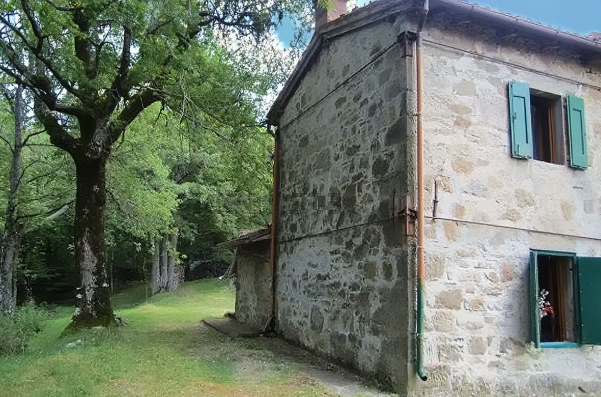 gallery gallery-image