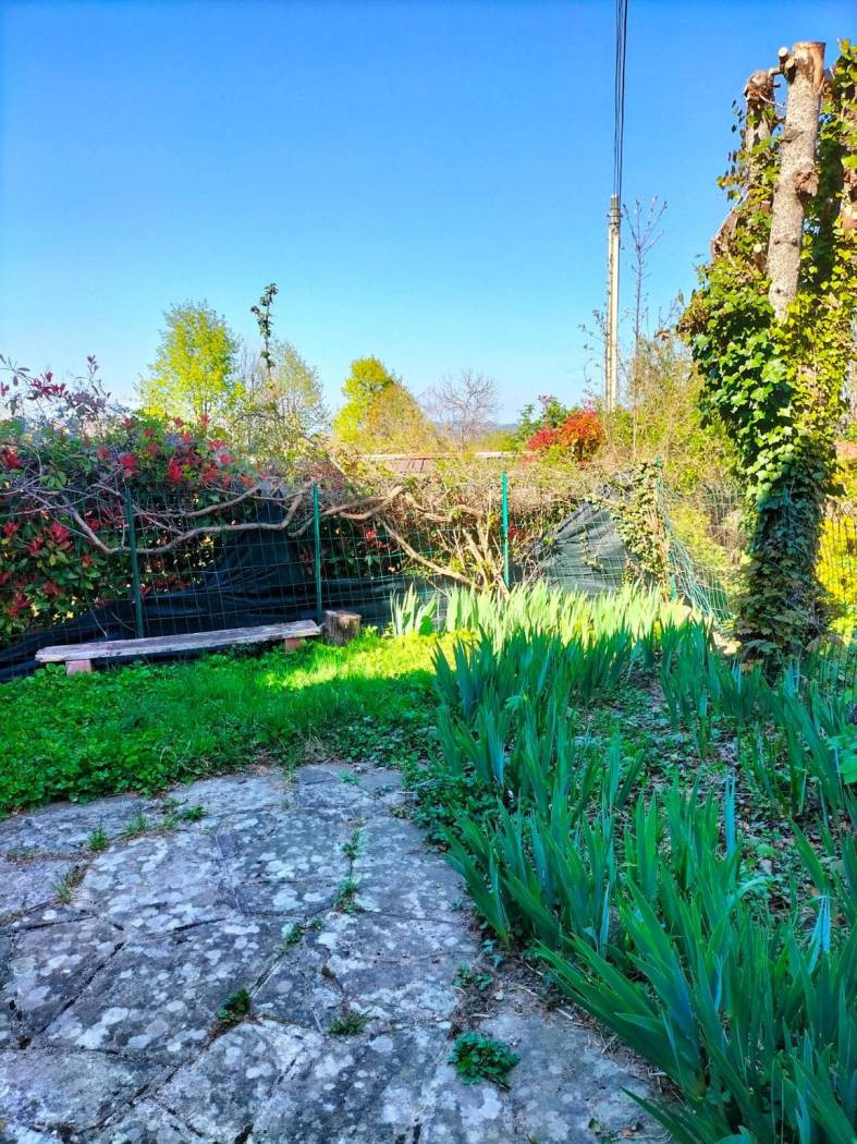 gallery gallery-image