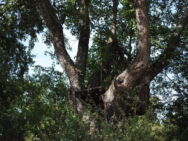 gallery gallery-image