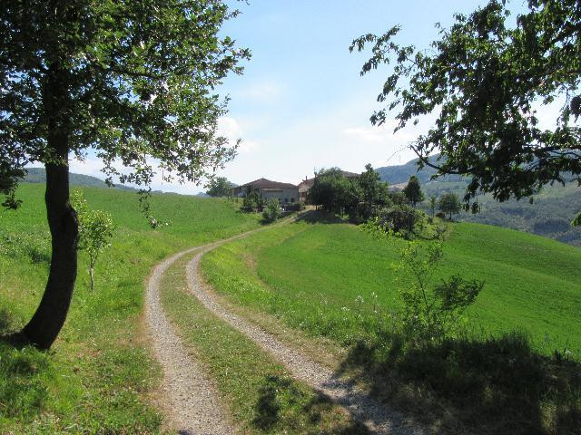 gallery gallery-image