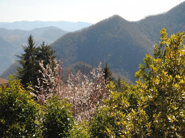 gallery gallery-image