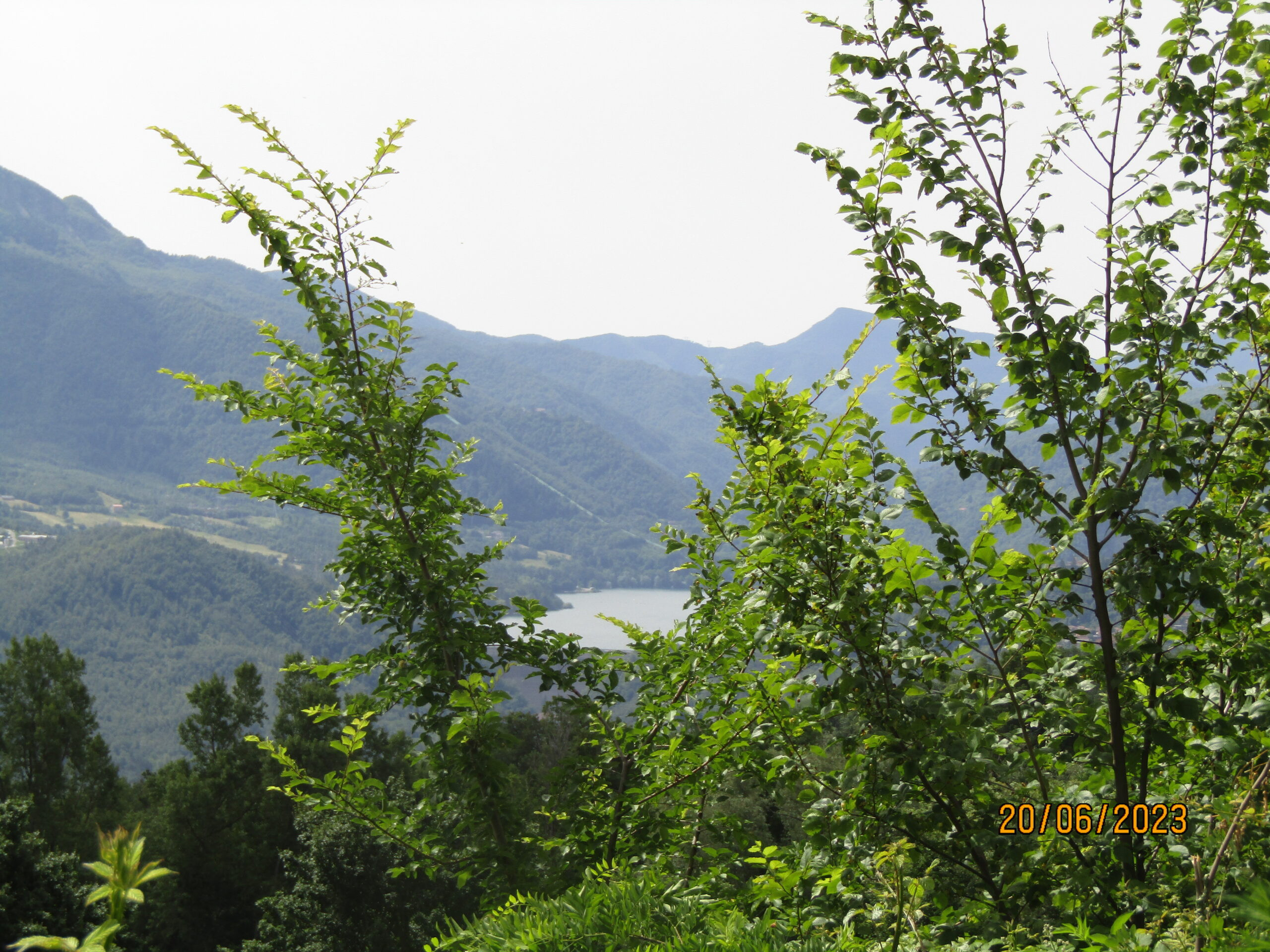 gallery gallery-image