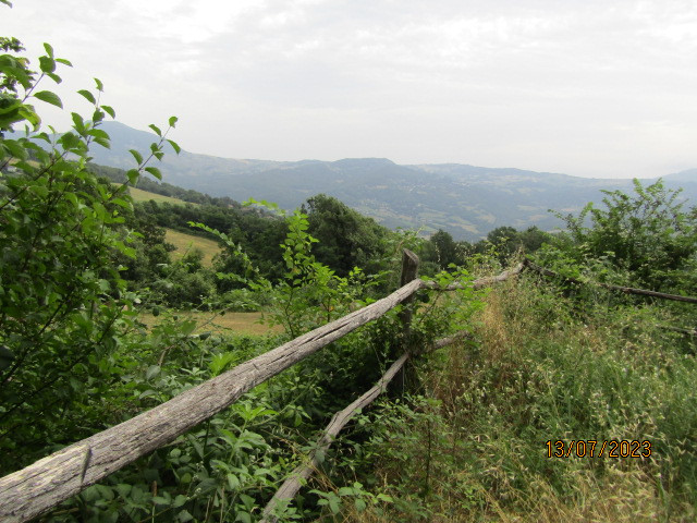 gallery gallery-image
