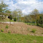 gallery gallery-image