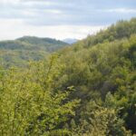 gallery gallery-image