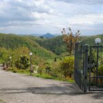 gallery gallery-image