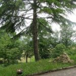 gallery gallery-image